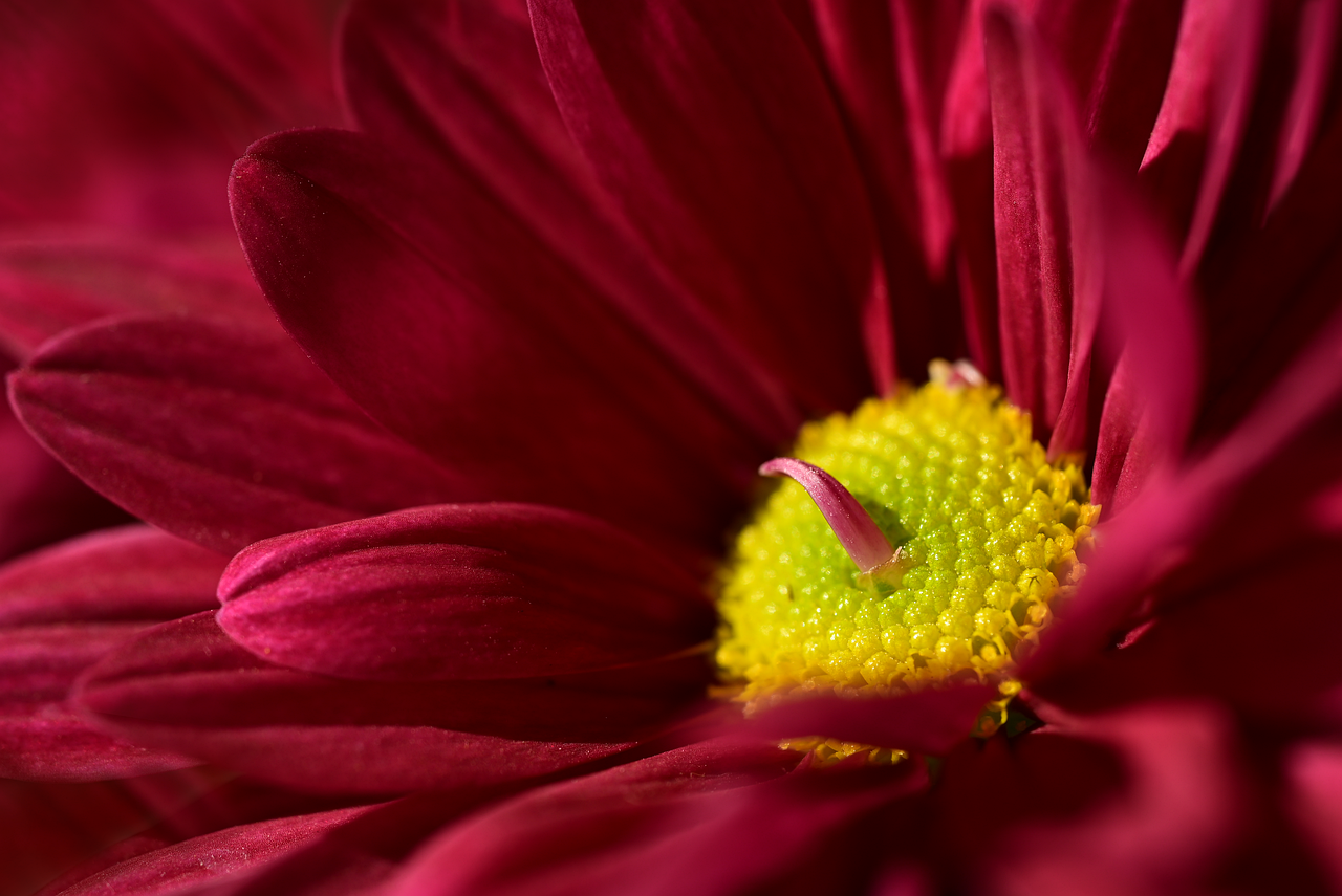 여행지 사진 잘 찍는 법 및 구도 추천